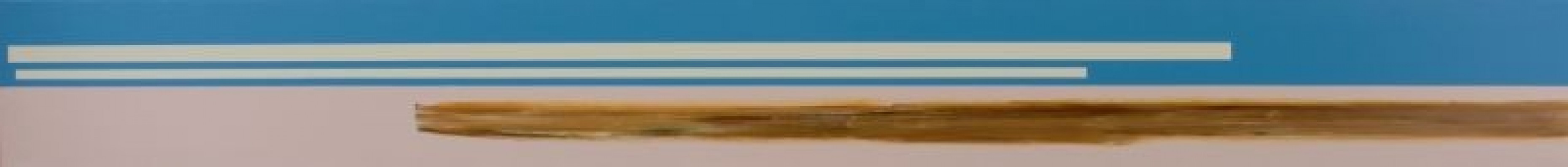 Blauw/Bruin (2nd Version)