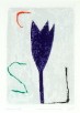 Paarse Tulp